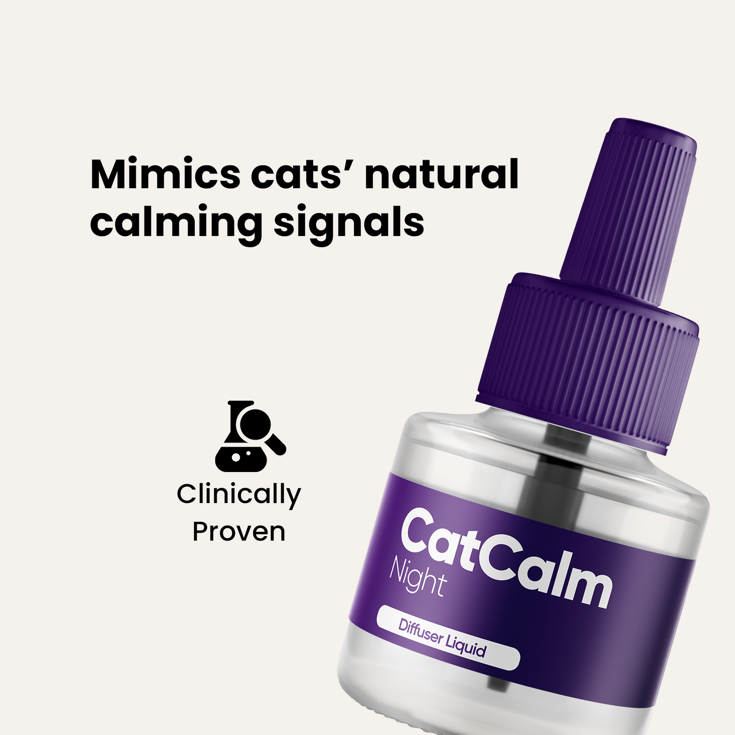 CatCalm Night