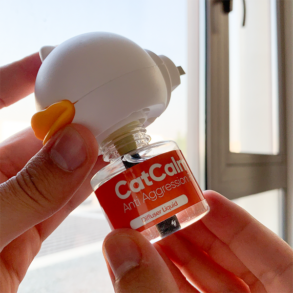 Insert the CatCalm bottle into the diffuser